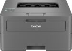 Brother HL-L2440DW Auto Duplex Laser Printer